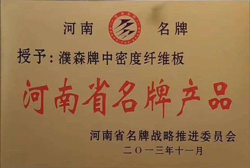 2013年河南省名牌產品